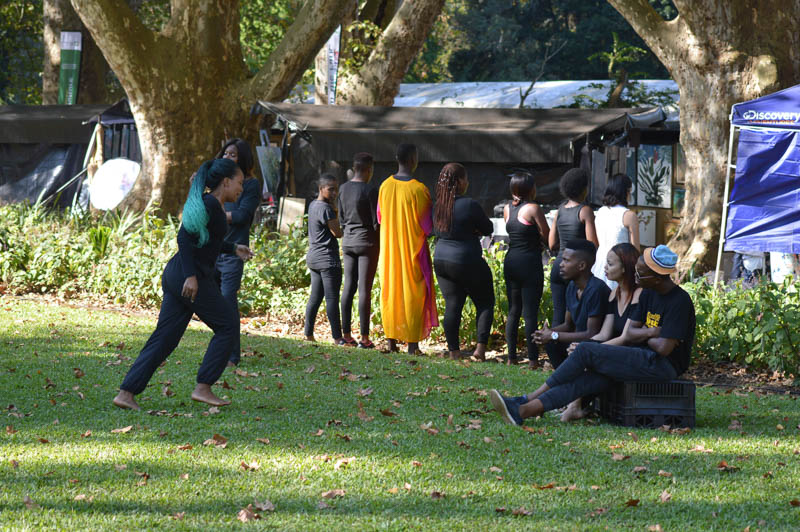 Art In The Park Pietermaritzburg Tourism Association